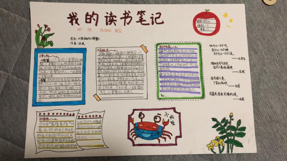 二4 贾煦乔 《孤独的小螃蟹》读书推荐卡