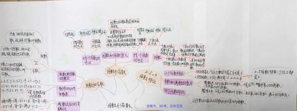 沈格方-五5-因数与倍数“知识树”-张龙庆