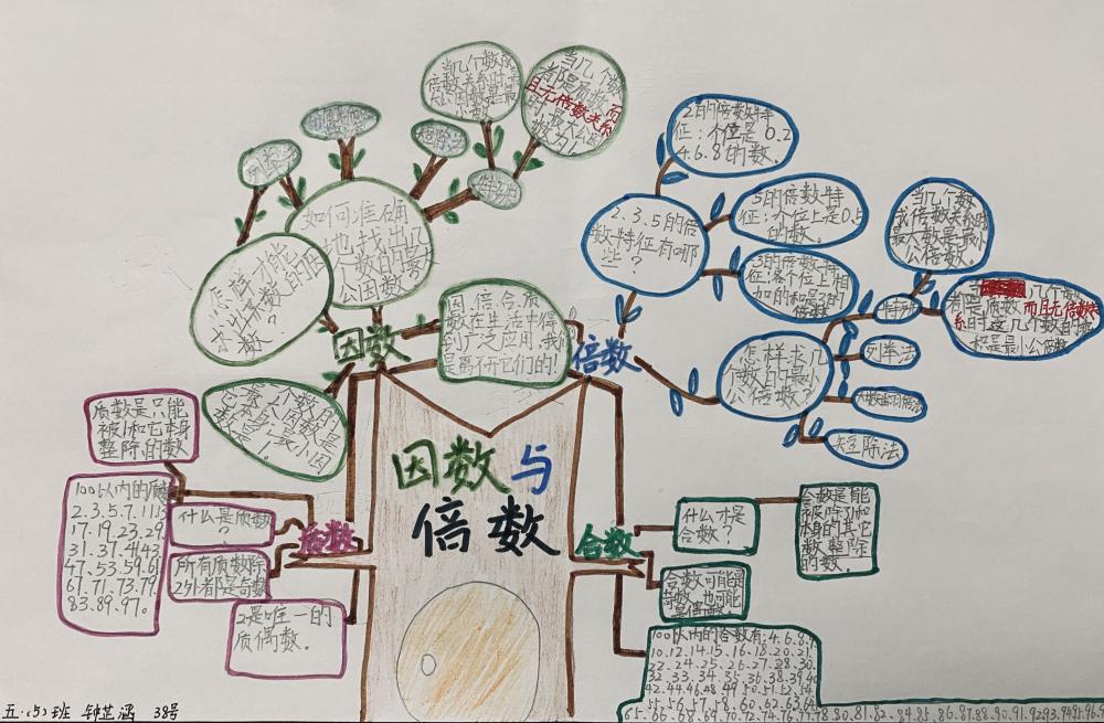 钟芷函-五5-因数与倍数“知识树”-张龙庆
