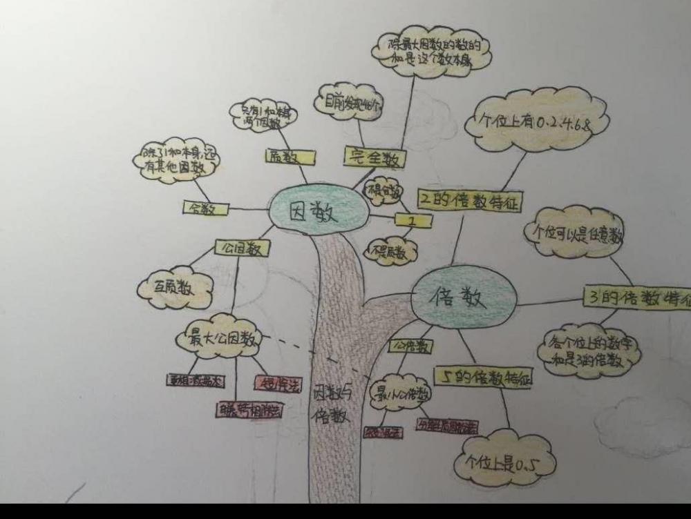 林梓栋--