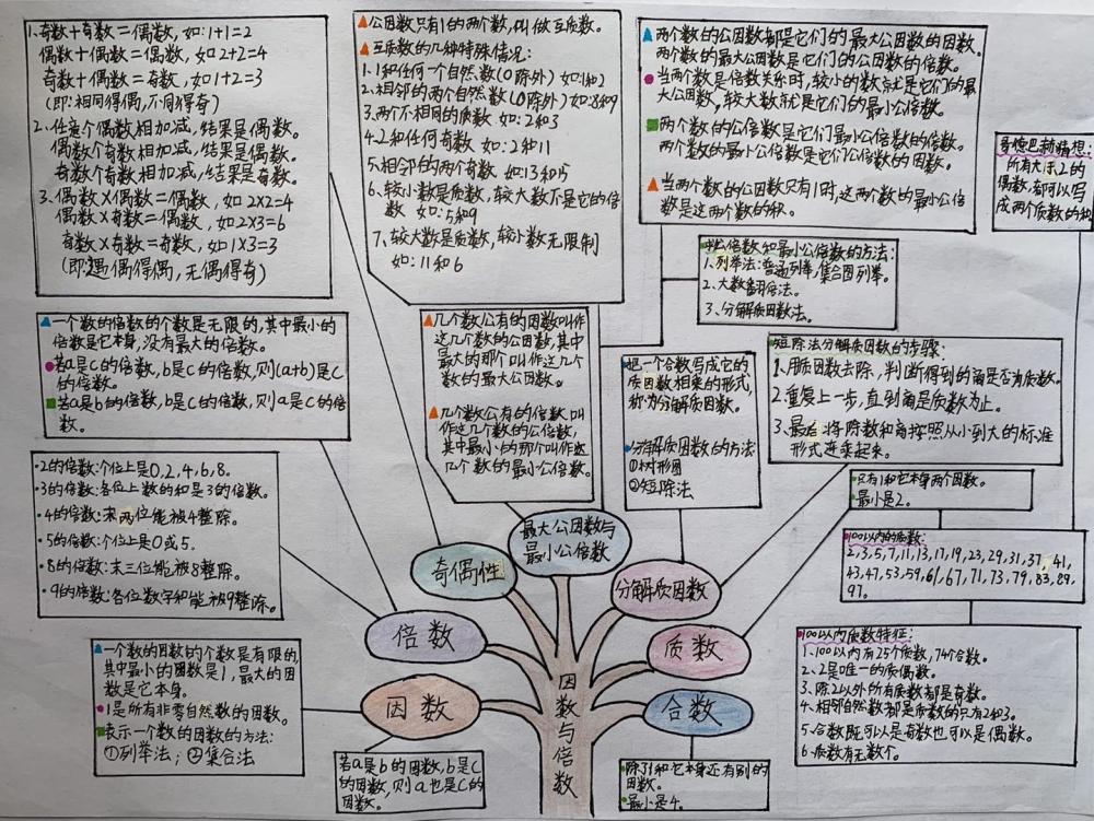 41刘旻哲--因数和倍数的树状图总结
